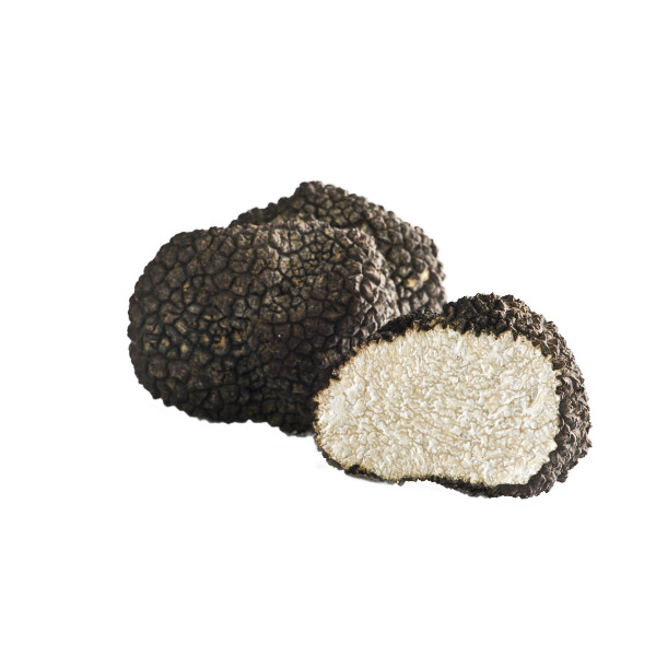 FRISCHER SOMMERTRÜFFEL TUBER AESTIVUM VITT. KNOLLE  ca.25 g