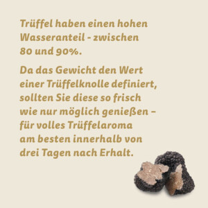 FRISCHER SOMMERTRÜFFEL TUBER AESTIVUM VITT. KNOLLE...